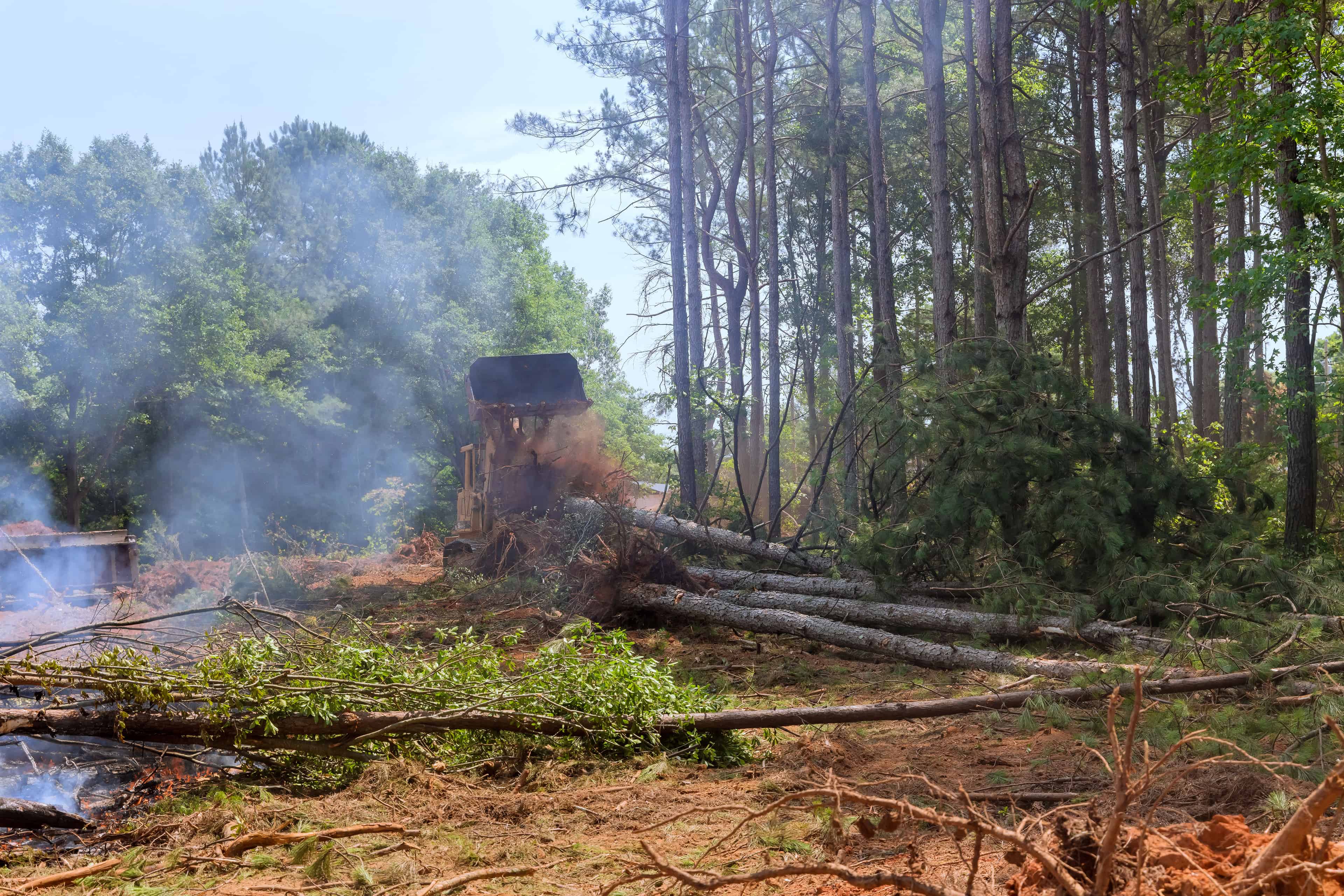 Brush and Debris Removal image