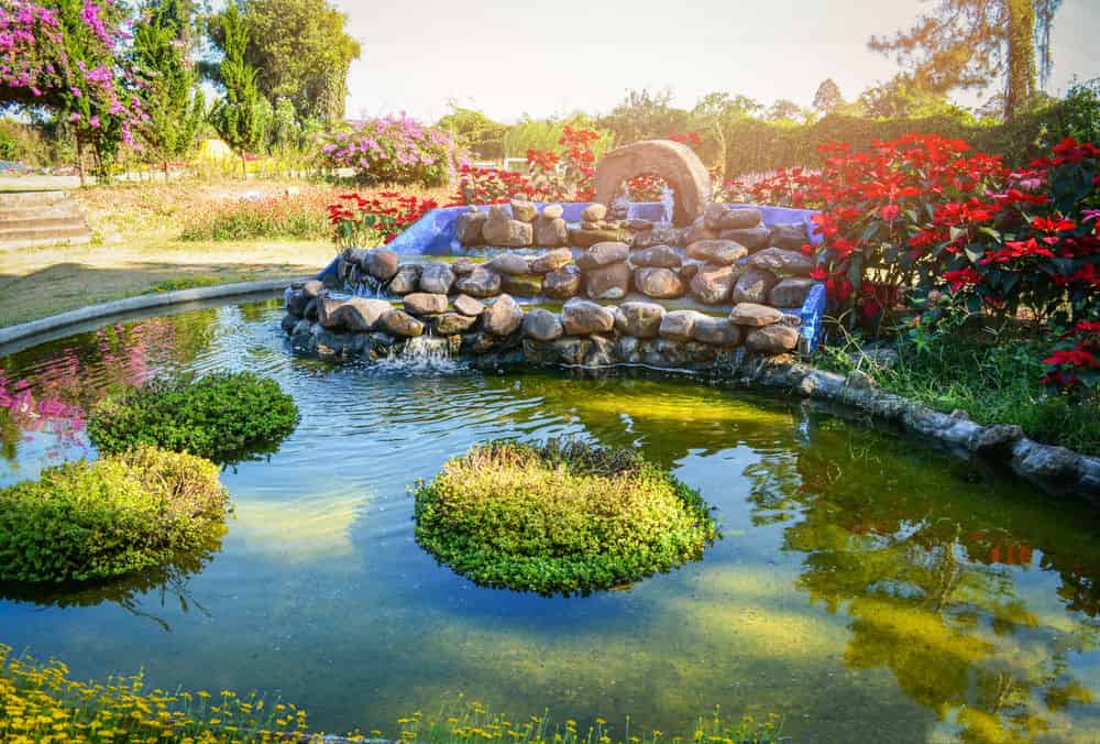 Patios/Backyards image