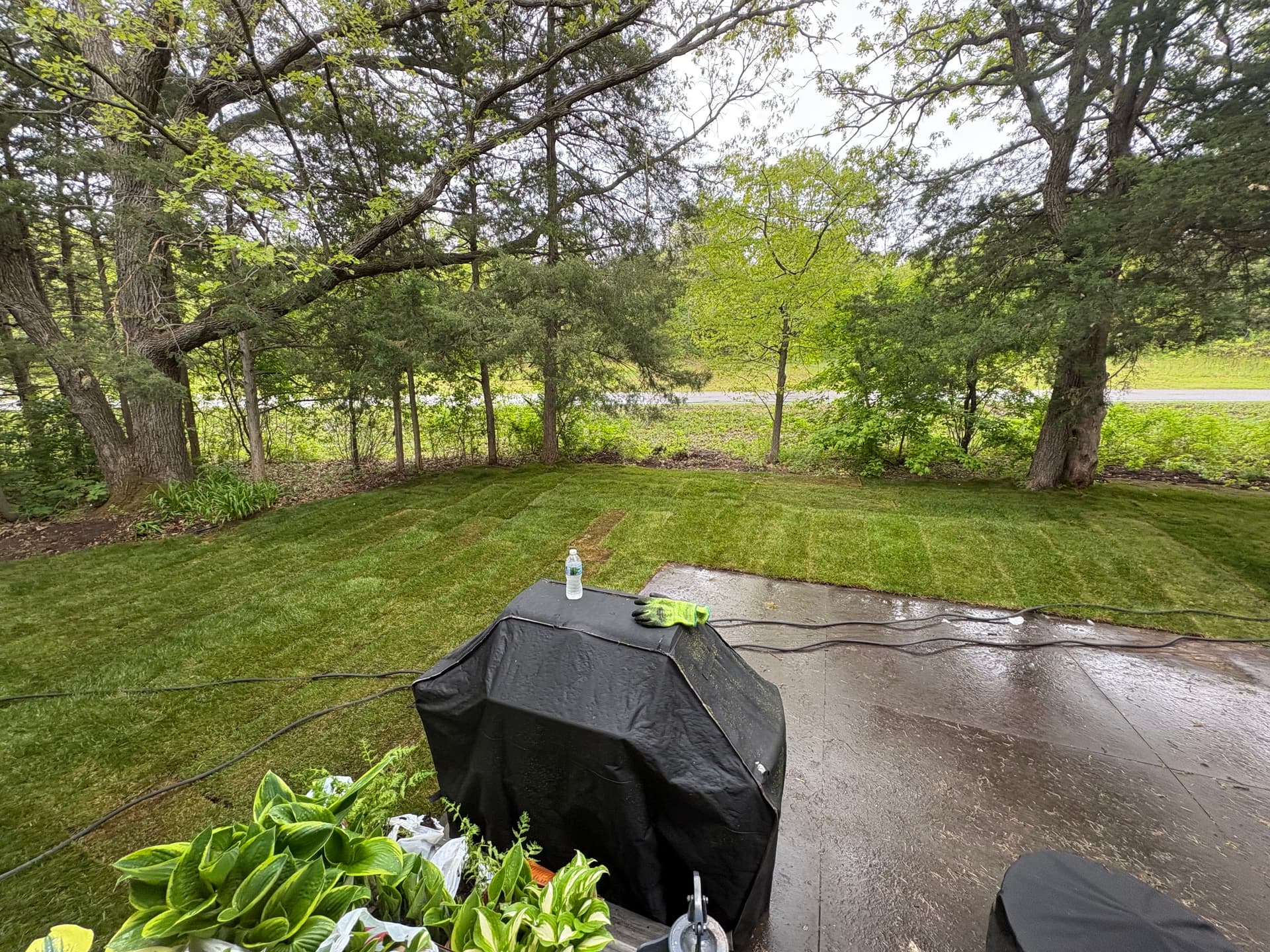 Becker Yard Reset With French Drains, Sod, and Rock