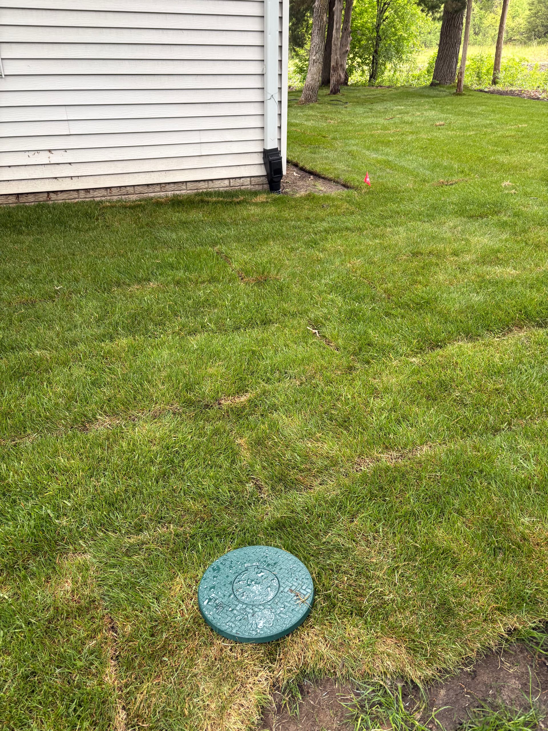 Becker Yard Reset With French Drains, Sod, and Rock