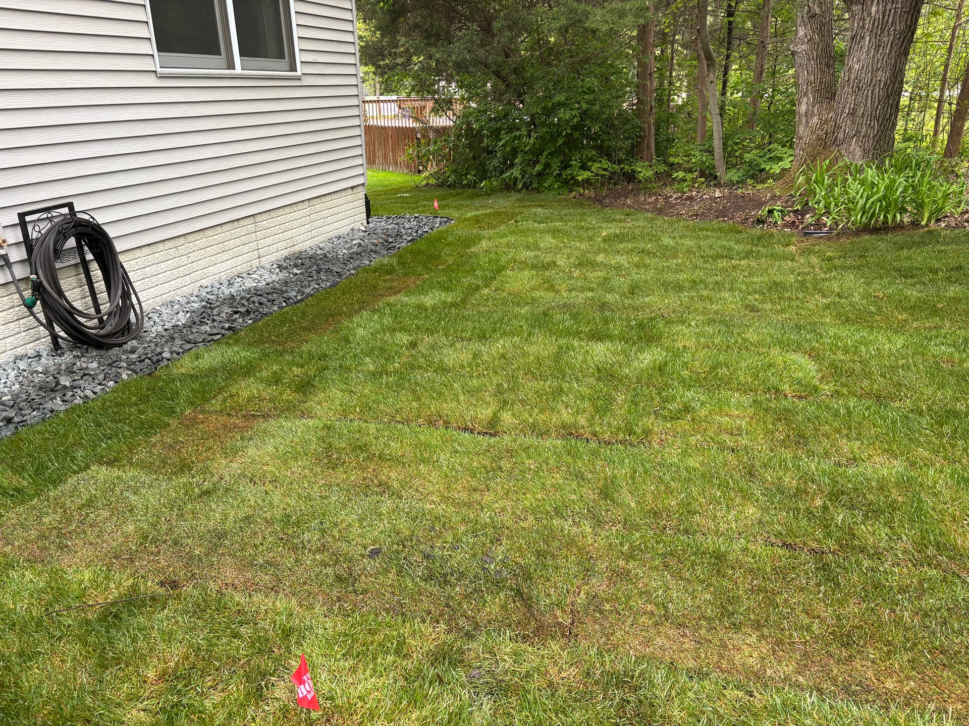 Becker Yard Reset With French Drains, Sod, and Rock